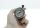 Druckregler mit Manometer