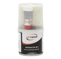 LACKWORK Reparatur Set mit Glasfaser Matte 0,25 kg