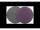 RADEX Schleifvlies rund violett sehr fein Ø 150 mm